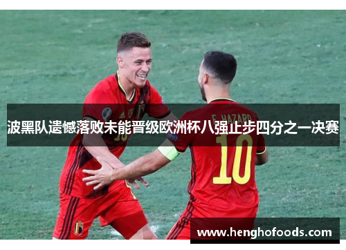 波黑队遗憾落败未能晋级欧洲杯八强止步四分之一决赛