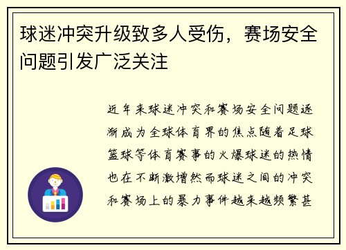 球迷冲突升级致多人受伤，赛场安全问题引发广泛关注